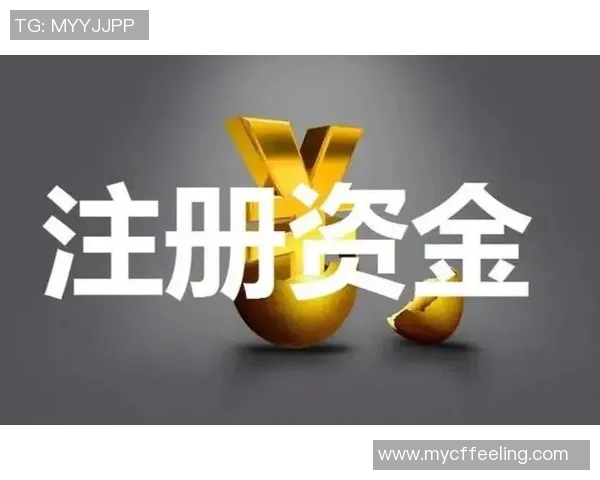 财务注册流程详解及注意事项,助力企业轻松完成财税合规工作