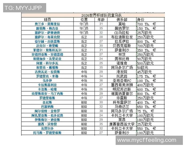 加纳足球明星实力排名及其成就分析图解